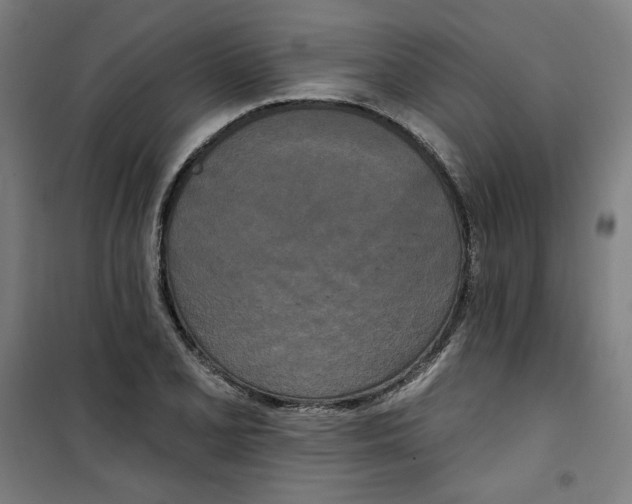 X0000100331077200807031229