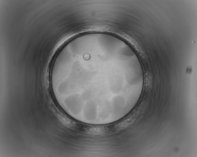 X0000100331078200807031229