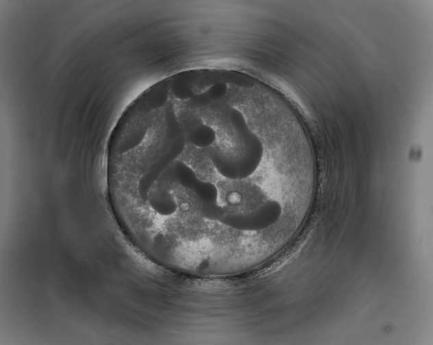 X0000100331079200807031229