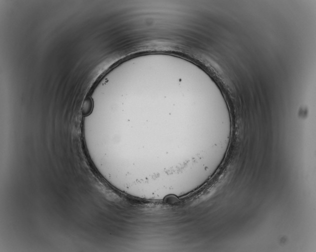 X0000100331081200807031229