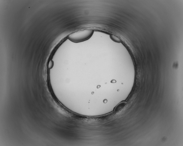 X0000100331082200807031229