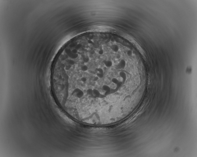 X0000100331083200807031229