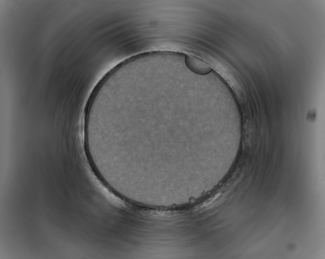 X0000100331084200807031229