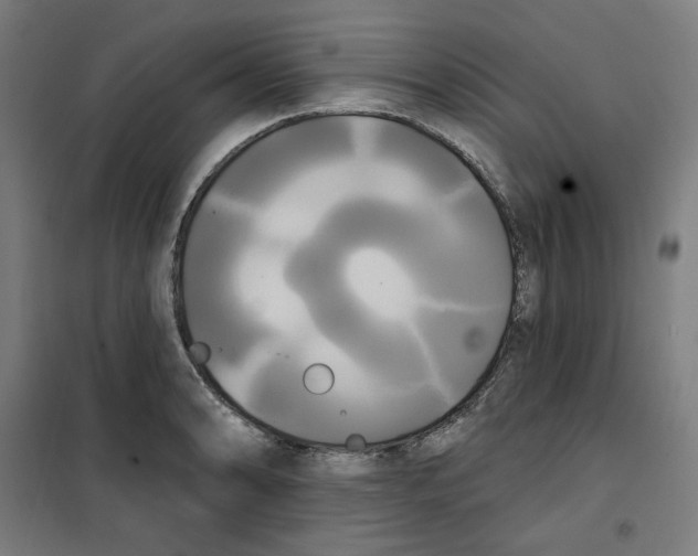 X0000100331086200807031229