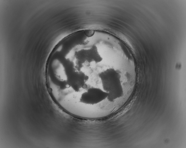 X0000100331087200807031229