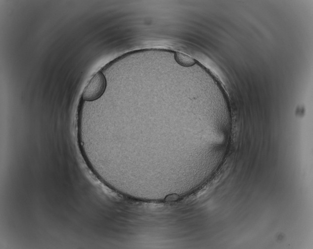 X0000100331088200807031229