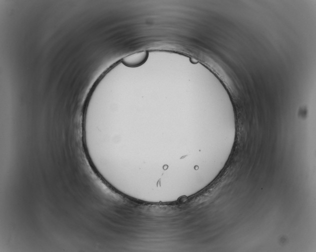 X0000100331092200807031229