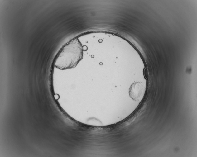 X0000100331093200807031229