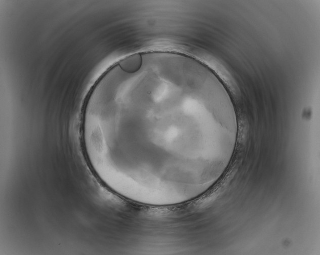 X0000100331094200807031229