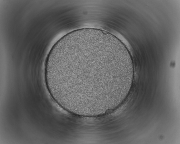 X0000100331096200807031229