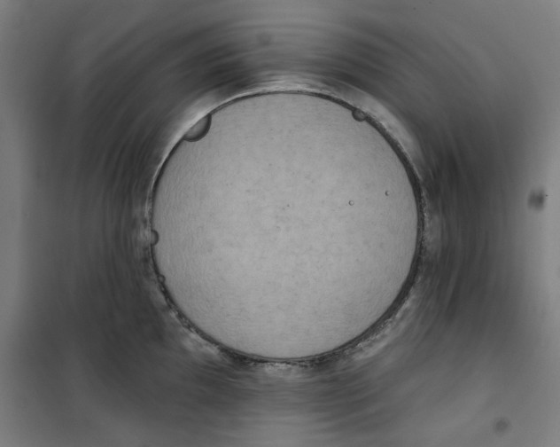 X0000100331097200807031229