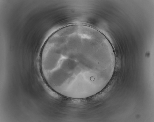 X0000100331098200807031229