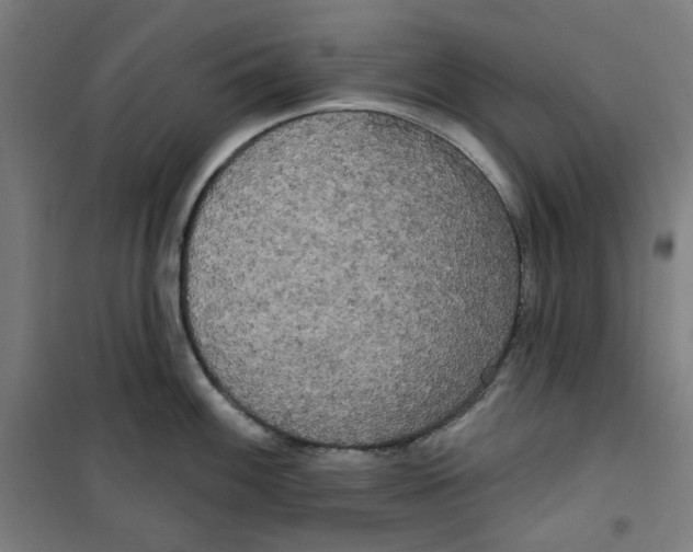 X0000100331100200807031229