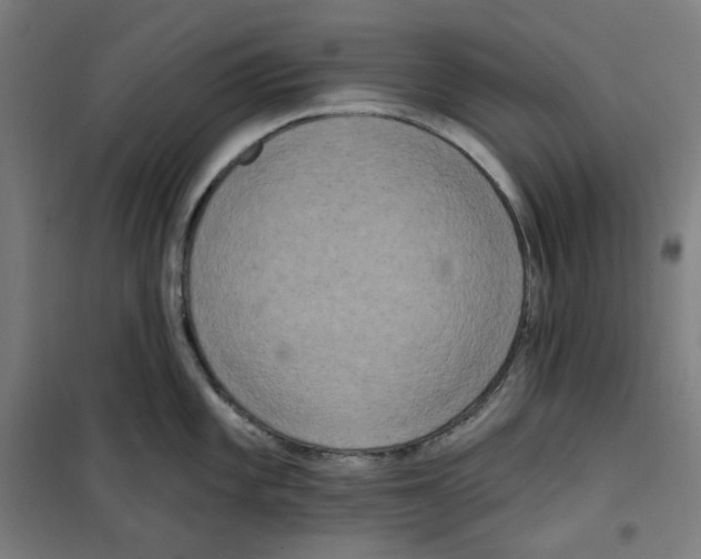 X0000100331101200807031229