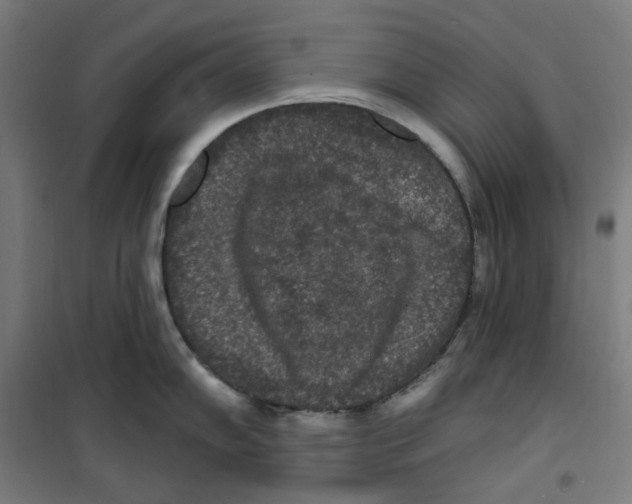 X0000100331102200807031229