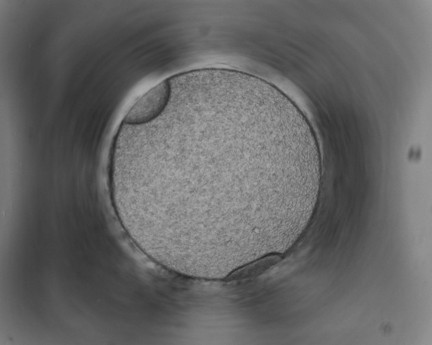 X0000100331104200807031229