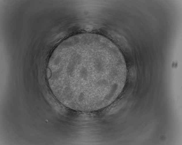 X0000100331105200807031228