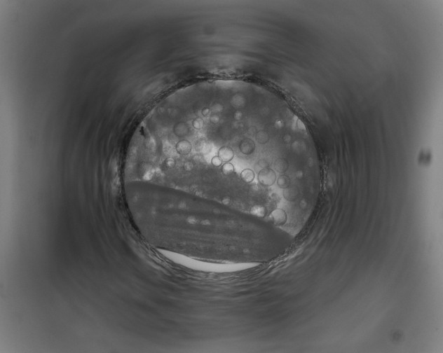 X0000100331106200807031228