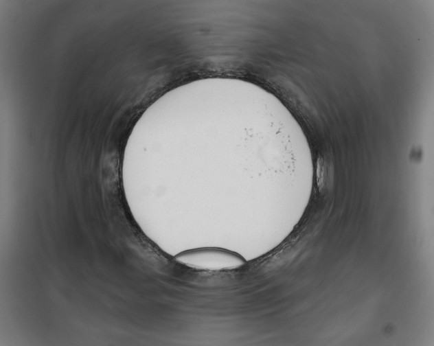 X0000100331107200807031228