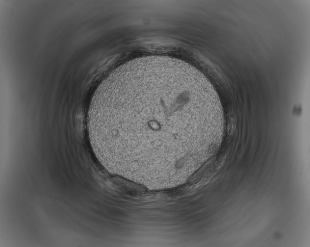 X0000100331108200807031228