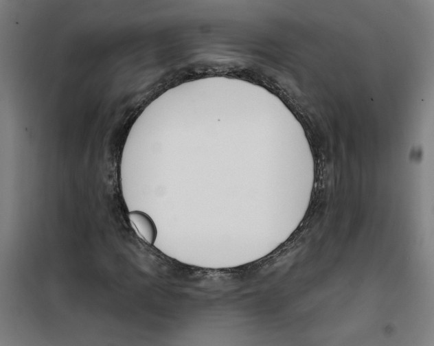 X0000100331109200807031228