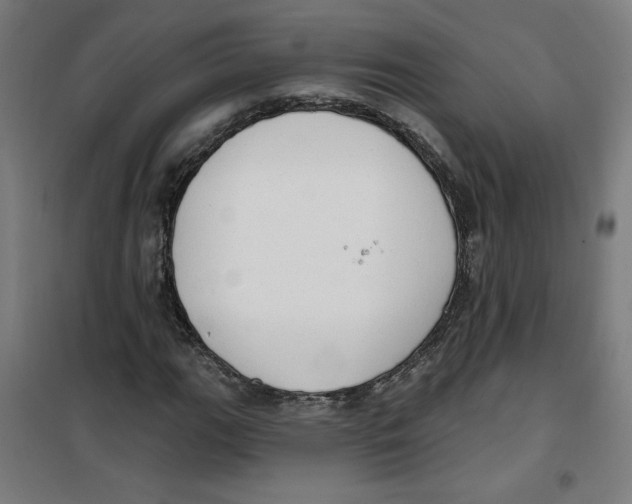 X0000100331111200807031228