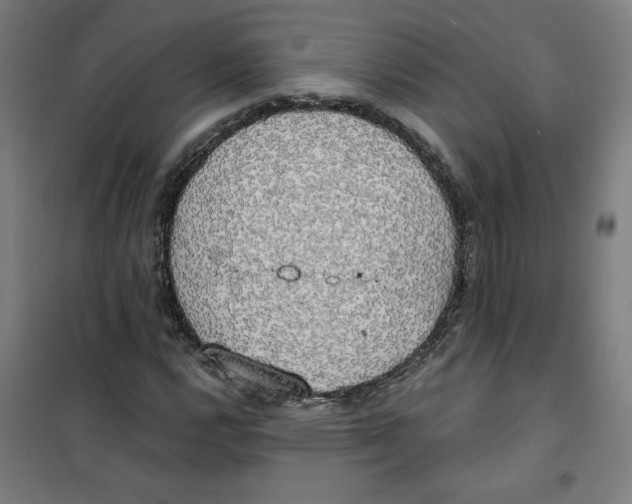 X0000100331112200807031228