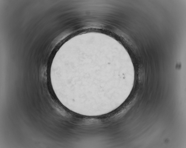 X0000100331113200807031228