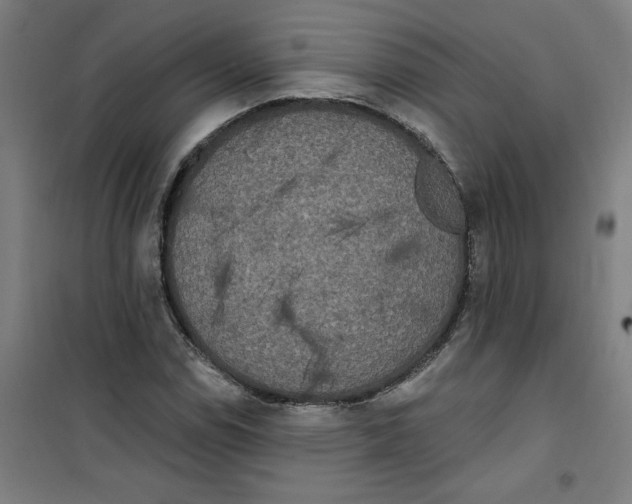 X0000100331114200807031228