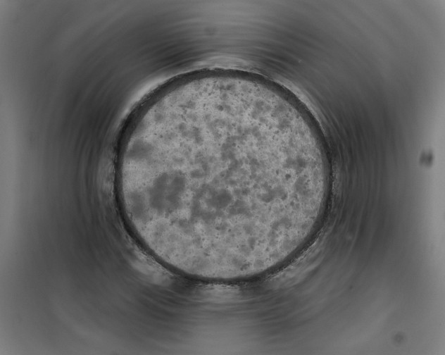 X0000100331115200807031228