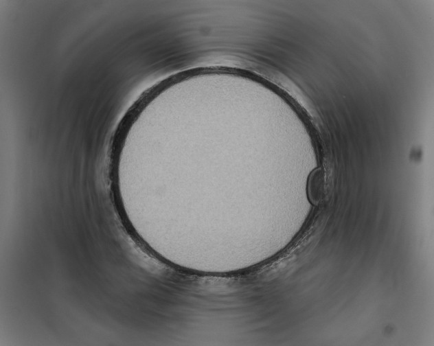 X0000100331116200807031228