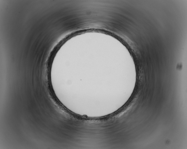 X0000100331118200807031228