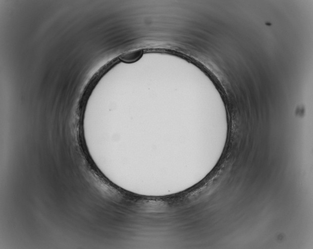 X0000100331119200807031228