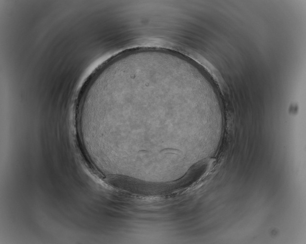 X0000100331120200807031228