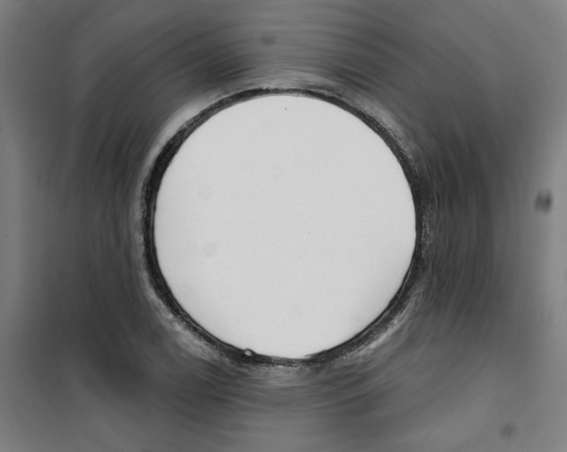 X0000100331122200807031228