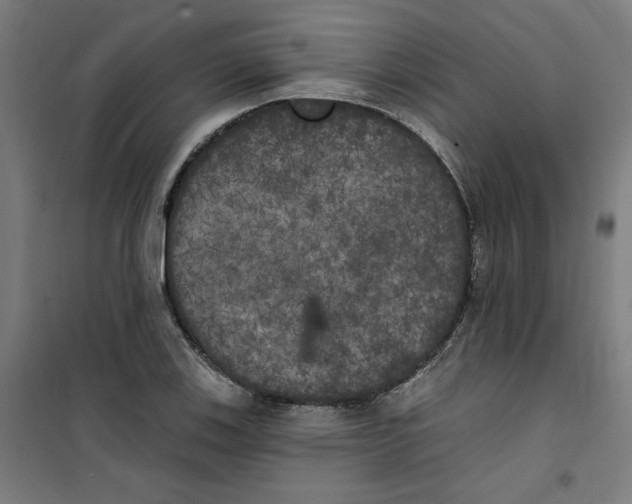 X0000100331123200807031228