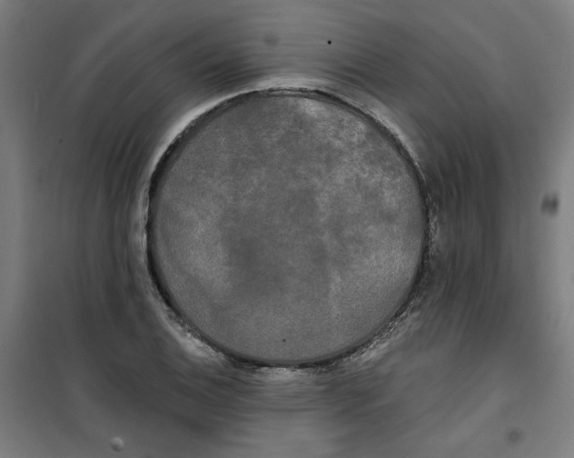 X0000100331124200807031228