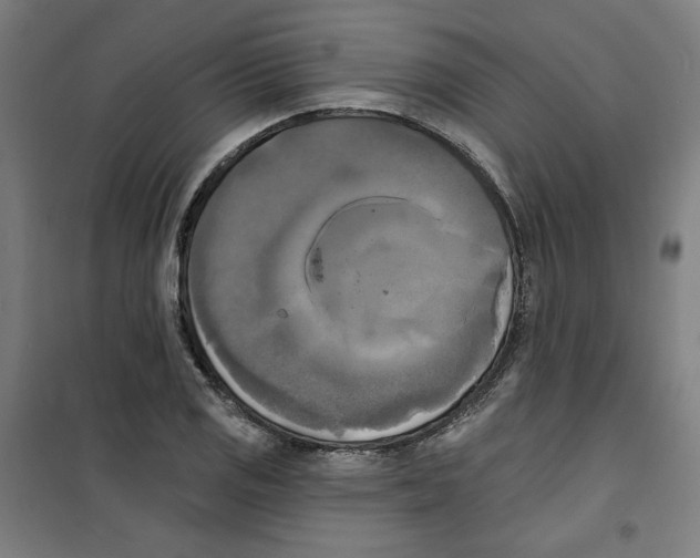 X0000100331125200807031228