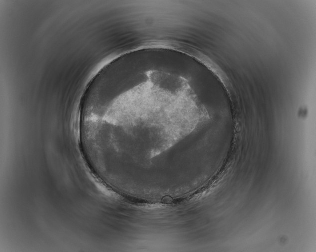 X0000100331127200807031228