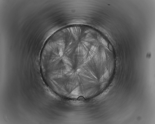 X0000100331129200807031228