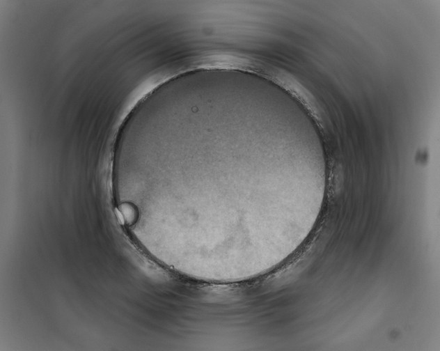 X0000100331130200807031228