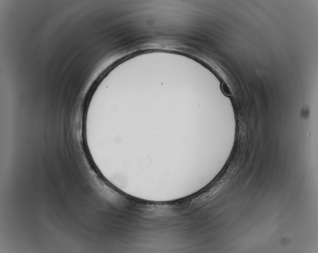 X0000100331131200807031228