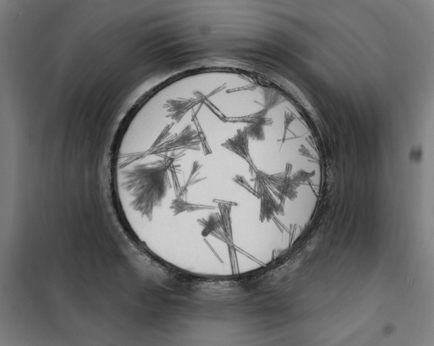 X0000100331133200807031228