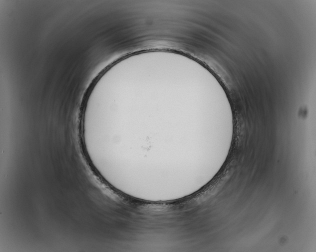 X0000100331134200807031228