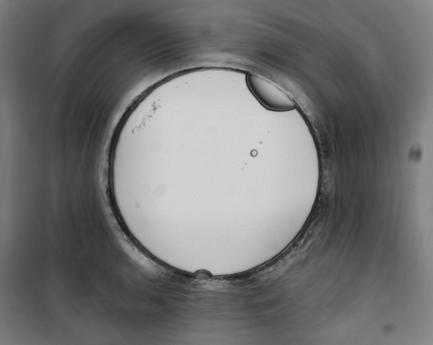 X0000100331136200807031228