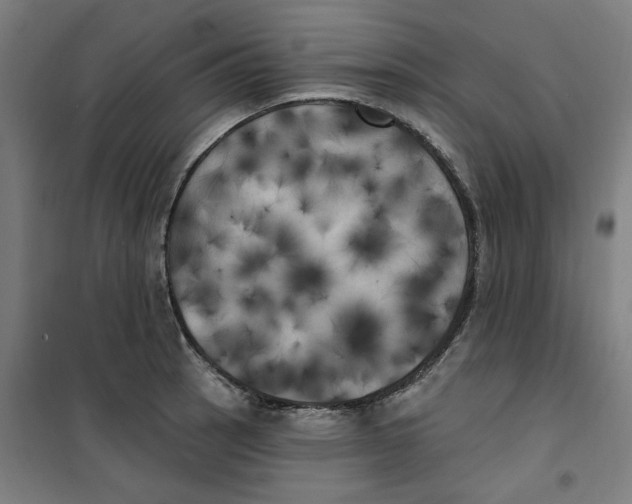 X0000100331137200807031228