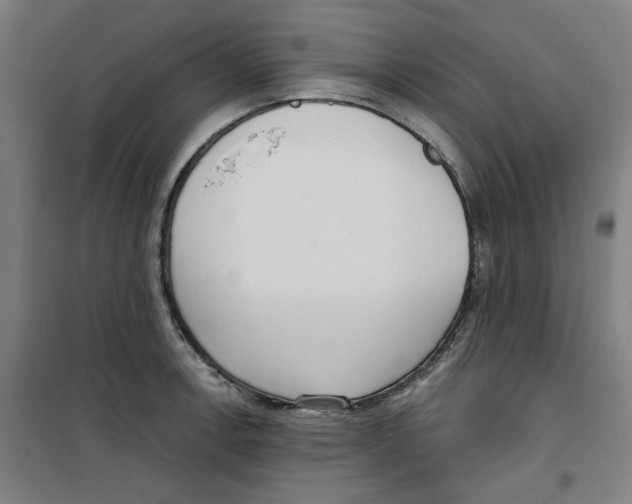 X0000100331138200807031228