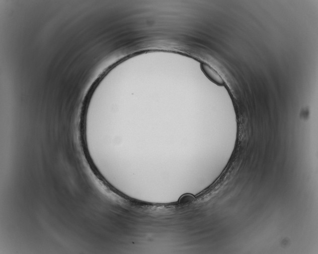 X0000100331139200807031228