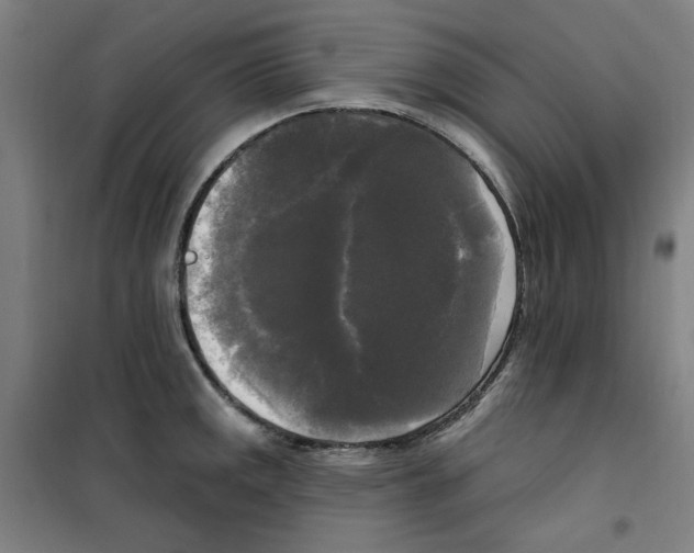 X0000100331141200807031229