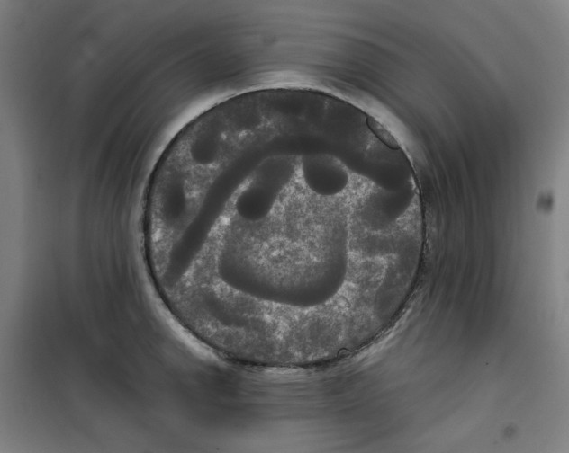 X0000100331142200807031229